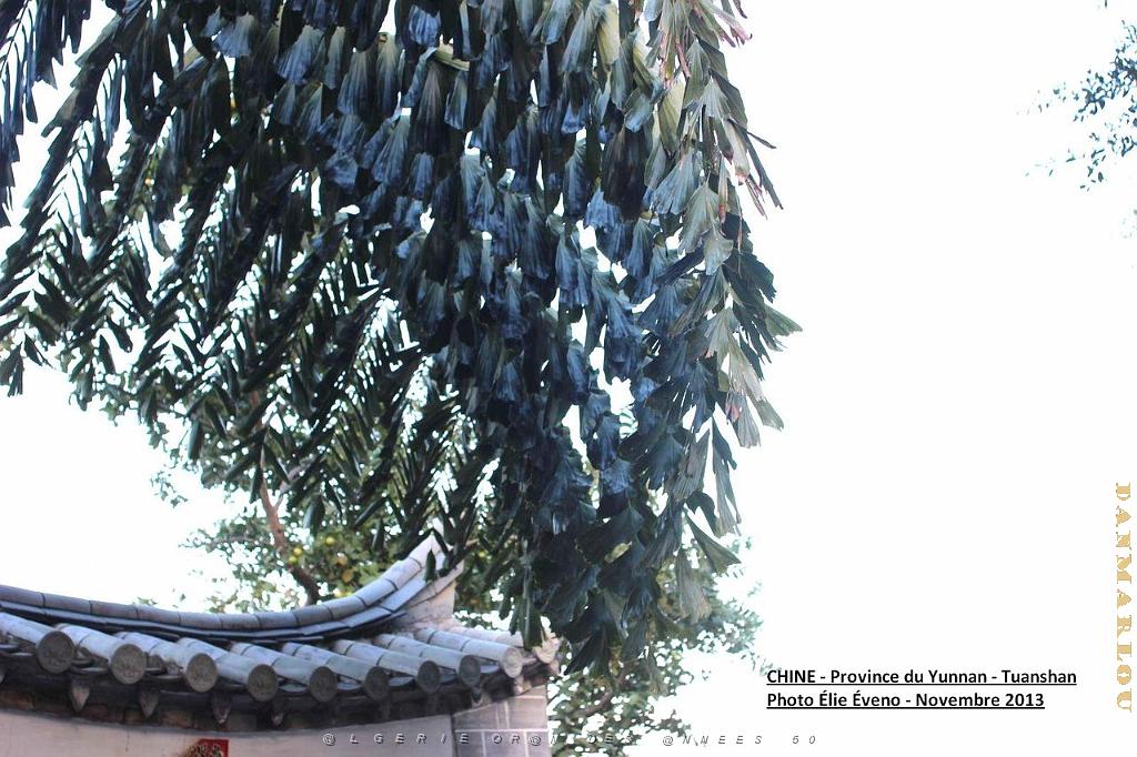 026 - Tuanshan.JPG